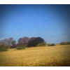Sun Kil Moon - Benji / Digipack [CD]