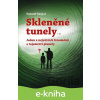 E-kniha Skleněné tunely - Samuel Gaspar