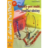 Šperky pre malé i veľké slečny - DaVINCI 37 - Vinczeová Eszter