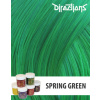 Directions Barva Spring Green 88ml