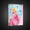 Obraz na plátne obdĺžnik - OB1692 - Disney Šípková Ruženka 60cm x 40cm - O4