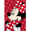 Jerry Fabrics DETSKÁ FLEECOVÁ DEKA MINNIE 100X150 CM VZOROVANÁ