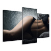 Picture Triptych Woman Underwear Retro Style 90x60 (Picture Triptych Woman Underwear Retro Style 90x60)