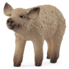 SCHLEICH Farm World Malé prasiatko Mangalica, domáce prasa 14893