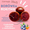 Lyofilizovaná americká čučoriedka s rakytníkom v čokoláde, balenie 100 g