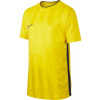 Nike | B NK BRT ACDMY TOP SS GX2 | žltá| S