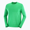 Pánske bežecké tričko s dlhým rukávom Salomon Sense Aero Tee GFX parakeet/spearmint
