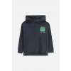 Detská bavlnená mikina Coccodrillo šedá farba, s kapucňou, s potlačou, EVERYDAY BOY A ZC5132301VBA 158