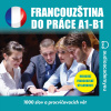 Audiokniha: Francouzština do práce A1-B1