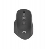 Natec optická myš FALCON/Kancelárska/Optická/Pre pravákov/3 200 DPI/Bezdrôtová Bluetooth/Čierna (NMY-1610)