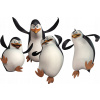 CUKROVÁ TLAČ jedlý obrázok na tortu Cukrová hmota Tučniaky Madagaskar 2 + MENO