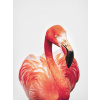 Fotografia Flamingo, Sisi & Seb, 30 × 40 cm