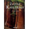Zelené katedrály - Štursa Jan