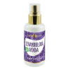 PURITY VISION Bio Levanduľová voda 100 ml