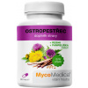 Mycomedica Pestrec 90 kapsúl