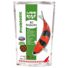 Krmivo pre ryby Sera Koi All Seasons Probiotic 500g