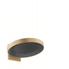 HansGrohe Rainfinity - Horná sprcha 360 s pripojením, 1jet, kefovaný bronz 26230140