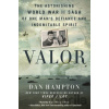 Valor - Dan Hampton