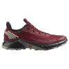 Pánska obuv Salomon ALPHACROSS 4 GTX - 417228 - 8,5