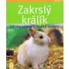 Zakrslý králík – Jak mu vytvořit útulný domov - Gabriele Linke-Grün