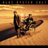 Blue Oyster Cult - Curse Of The Hidden Mirror / Reedice 2020 [CD]