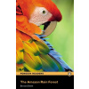 The Amazon Rainforest