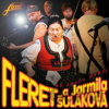 Až zavřu dvéři (2CD) - Fleret a Jarmila Šuláková