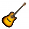 Pasadena SG028C Vintage Sunburst