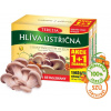 Terezia Company Hliva ustricová s rakytníkovým olejom 120 kapsúl