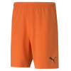 Puma teamRISE