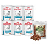 ROYAL CANIN Hypoallergenic DR21 400g konzerva x6 & WILD FARM jahňacie a tresky kocky mäkké 500g psie maškrty