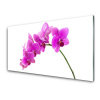 Sklenený obklad Do kuchyne Vstavač kvet orchidea 100x50 cm