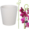 Obal na kvetináč biely 12 cm + opora na rastliny 58 cm sada