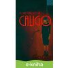 E-kniha Caligo - Monika Šimkovičová