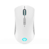 Lenovo Legion M600 Wireless Gaming Mouse GY51C96033 (GY51C96033)