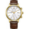 Citizen CA7062-15A, oficiálna záruka Autorizovaného servisu