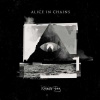 RAINIER FOG - ALICE IN CHAINS (1CD)