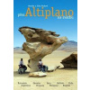Přes Altiplano na svatbu - a Jirka Vackovi Monika