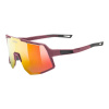 Uvex Sequenze CV - Burgundy Matt/Mirror Red one size
