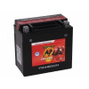 Banner Bike Bull AGM 12V 12Ah (YTX14-BS)