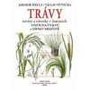 Trávy traviny a trávniky v ilustracích Vojtěcha Štolfy a Zdenky Krejčové - Šikula Jaromír, Větvička Václav