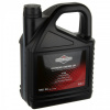 Olej Briggs & Stratton 5L Sae30 pre kosačky na trávu