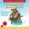 Audiokniha: O dvanástich mesiačikoch