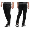 Nike Park 20 BV6877-010 pants black