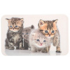 KESPER Dekoratívne doska, Mačiatka 23,5 x 14 cm