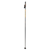 EXEL Centra Grey / Orange (QCB), 50% carbon, běžecké hole Délka hůlek: 155 cm