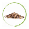 DROMY Ostropestrec plod 1kg
