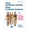 Atlas anatomie člověka II.