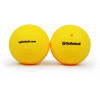 Spikeball PRO balls