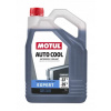 Ochrana pred zamrznutím MOTUL 111733